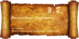 Mecsnober Radamesz névjegykártya
